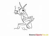 Heuschrecke Malvorlage Ausmalbilder Insekten sketch template