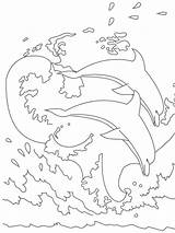 Dolphin Coloring Pages Tale Getdrawings Getcolorings Books sketch template