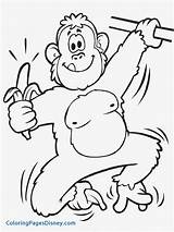 Ape Coloring Pages Getcolorings sketch template