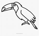 Toucan Billed Keel Pngitem sketch template