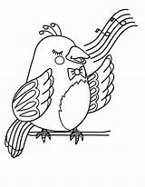 Bird Coloring Pages Voice Canary Beautiful Preschool Kids Color sketch template