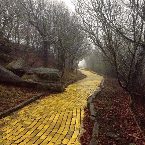 picture   abandoned yellow brick road   wizard  oz rinterestingasfuck