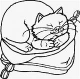 Coloring Cat Pages Sleeping Animal Chats Imprimer Dessins Kids Printable Coloriage Domestic Colorare Da Immagini Getcolorings Con Color Labels sketch template
