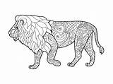 Lion Coloring Book Vector Adults Adult Illustration Preview sketch template
