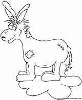 Burro Colorat Donkey Asino Esel Burros Imagini Magarus Planse Animales Magari Ane Animale P05 Magar Colorea Desenhos Desene Cavalos Figuras sketch template
