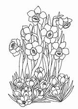 Printemps Fleurs Coloriages sketch template