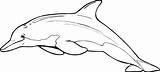 Dolphin Clipart Coloring Drawing Pages Clip Dolphins Printable Color Line Outline Bottlenose Cliparts Print Kids Cut Draw Sheets Drawings Colored sketch template
