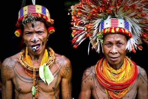 ternyata suku tertua dunia indonesia fakta
