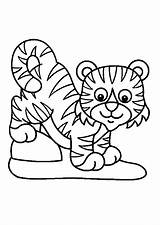 Tigre Colorier Enfants Hugolescargot Dedans Selva Tigres Greatestcoloringbook Visiter Amusant Partager sketch template