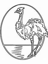 Emu Ostrich sketch template