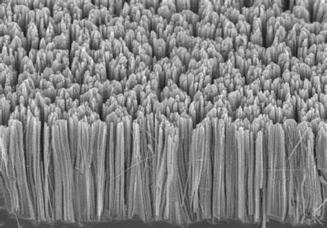 silicon nanowire anodes   promise  revolutionize  battery market   avenue