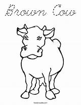 Cow Coloring Brown Cursive Built California Usa sketch template