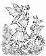 Fairies Thoroughly Enjoy sketch template