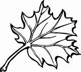 Fall Leaves Coloring Pages Printable Leaf Getcoloringpages Clip sketch template