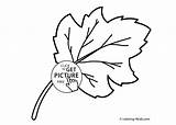 Coloring Nature Printable Leaf Kids Pages Leaves sketch template