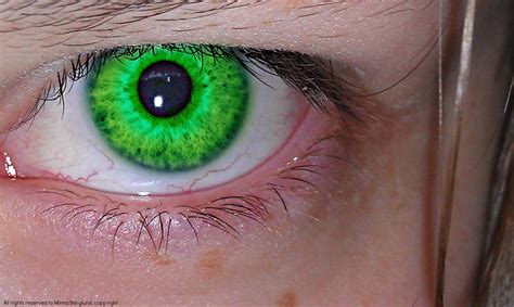 green eye  kylexcraig  deviantart