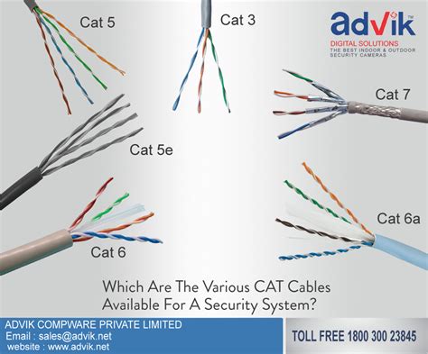 cat cables    security system