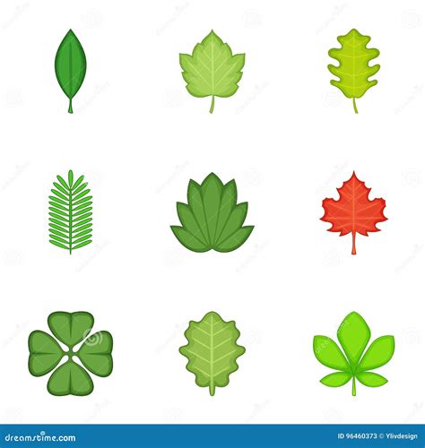 leaves icons set cartoon style stock vector illustration  herb