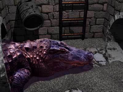 giant sewer alligators   exist cryptozoology myths