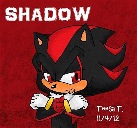 Shadow The Hedgehog