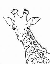 Giraffe Getdrawings Coloriage Abetterhowellnj Artigo sketch template