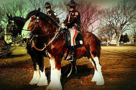 images  altered art delaware law enforcement mounted patrol unit   castle county