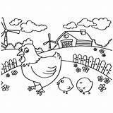 Coloring Chicken Pages Hen Chicks Chick Baby Vector Printable Minecraft Peeps Fried Getcolorings Getdrawings Color Cute Girl Pag Colorings sketch template