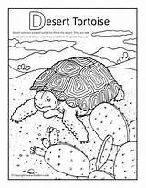 Desert Coloring Pages Habitat Printable Getcolorings sketch template