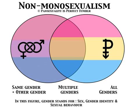 pansexuality is perfect the difference between bisexuality and pansexuality