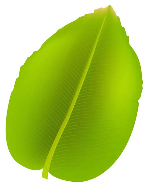 jungle leaf template clipart