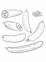 Cucumber sketch template