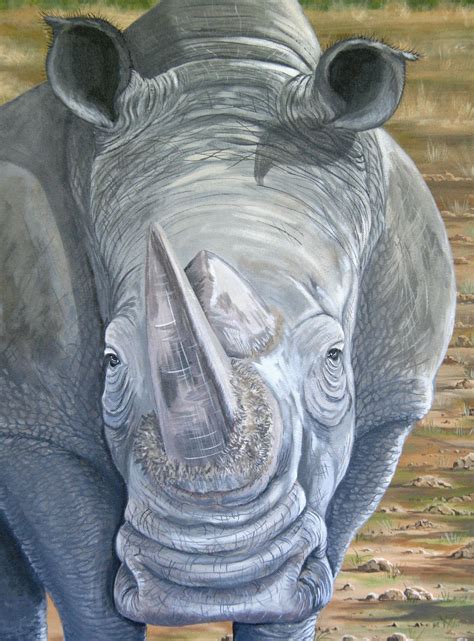 rhino art  fiona groom hey watcha lookin  acrylic  canvas