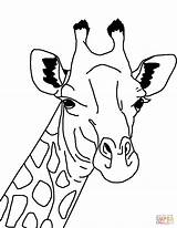 Coloring Giraffe Pages Face Printable Drawing sketch template