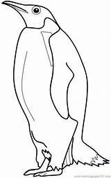 Penguin Emperor sketch template
