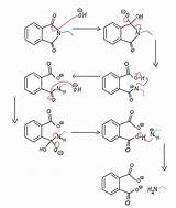 Mechanism Hydrolysis Synthesis Gabriel Chemistry Acid Basic sketch template