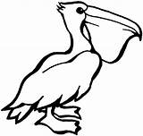 Pelican Coloring Pages Kids Printable Sheknows Animal Animals Clipart Categories Template Pelicans sketch template