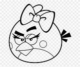 Coloring Pages Angry Birds Girl Clipart Easy Kids Girls Pinclipart sketch template