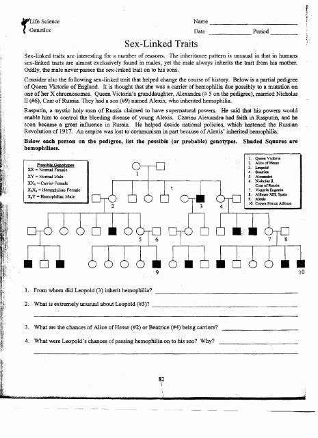 50 genetics x linked genes worksheet chessmuseum template library