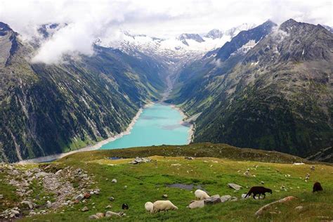 amazing     zillertal  summer tirol austria