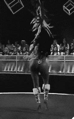 booty gif find share  giphy