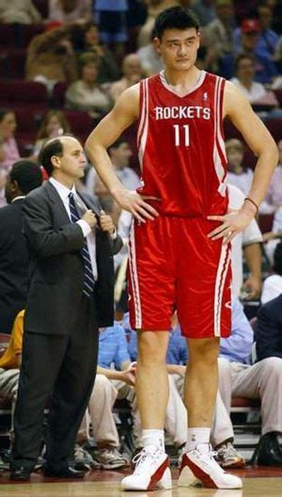 yao ming makes other people look like ants 47 pics