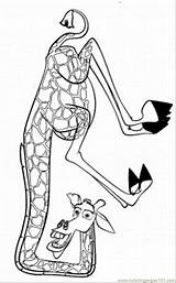 Madagascar Melman Coloring Giraffe Pages sketch template