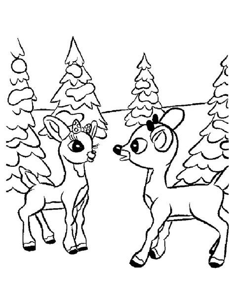 reindeer pictures  colour   printable reindeer coloring pages