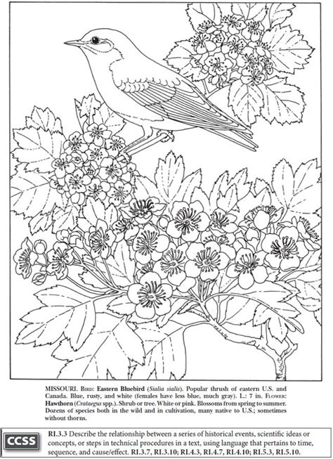 boost state birds  flowers coloring book dover publications dover