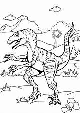 Coloring Velociraptor Pages Raptor Dinosaur Printable Print Color Getcolorings Getdrawings Colorings sketch template