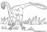 Dilophosaurus Dilofossauro Dinosaurs Genial Supercoloring Dinosaurios Dinossauros sketch template
