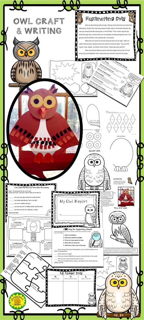owl writing  craft owl writing creative teaching owl theme classroom