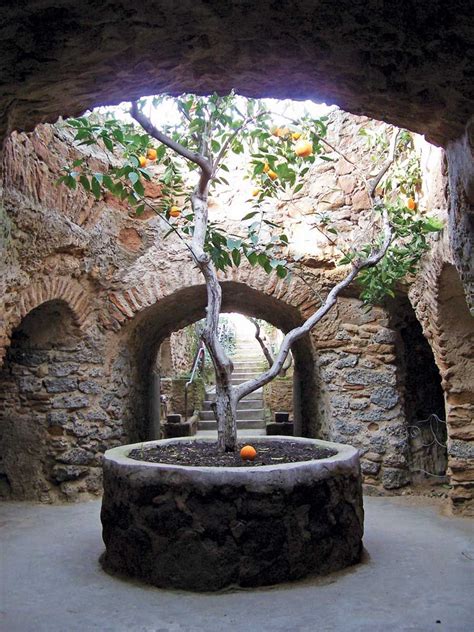 a citrus grove thrives underground at the forestiere underground