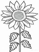 Sunflower Coloring Pages Flowers Sunflowers Printable Drawing Rainforest Adults Kids Van Gogh Flower Kid Timely Getdrawings Tropical Sheet Getcolorings Color sketch template