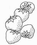 Coloring Strawberry Owoce Warzywa Kolorowanki Morangos Colorat Druku Capsune Multe Strawberries Kolorowanka Erdbeere Morango Clopotel Malowanka Cinci Truskawki Tudodesenhos Truskawkami sketch template